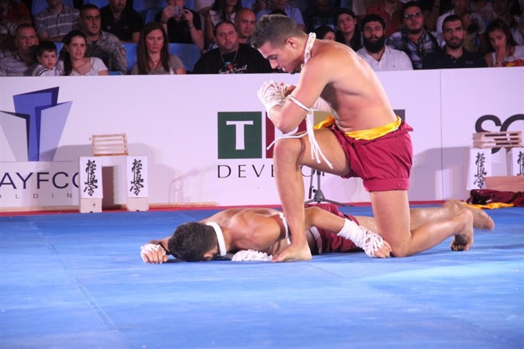 Martial Arts Festival